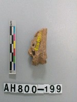 藏品(獸骨殘骸)的圖片